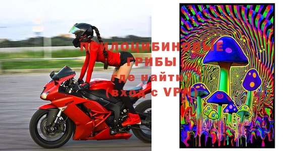 прущие крисы Горняк