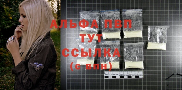 сатива Осташков