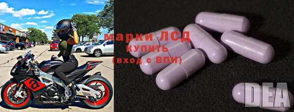 сатива Осташков