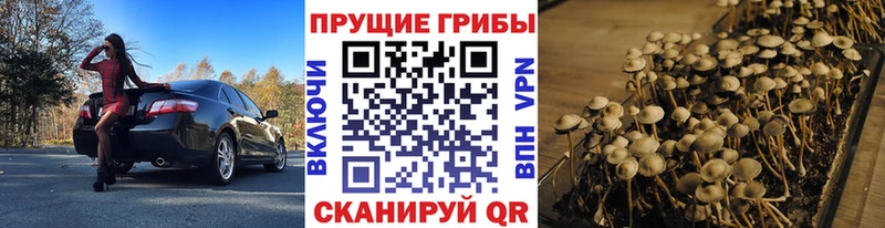 мориарти Telegram  Дивногорск  Галлюциногенные грибы мухоморы 